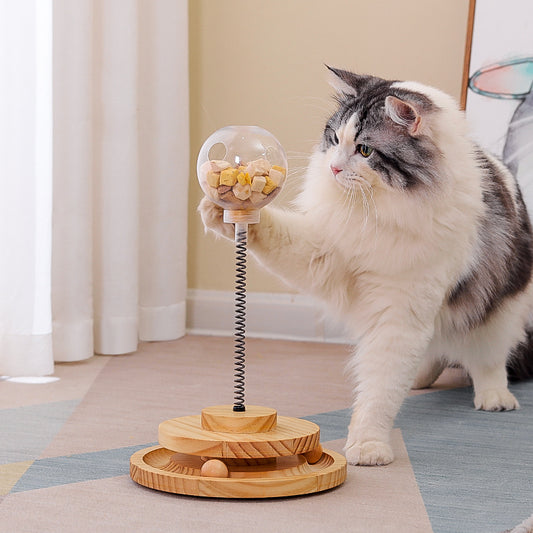 Interactive Cat Treat Dispenser