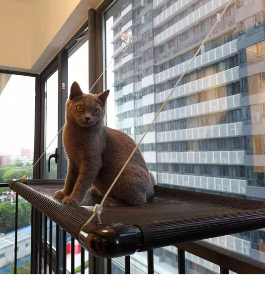 Cat Window Perch with Strong Suction Cups