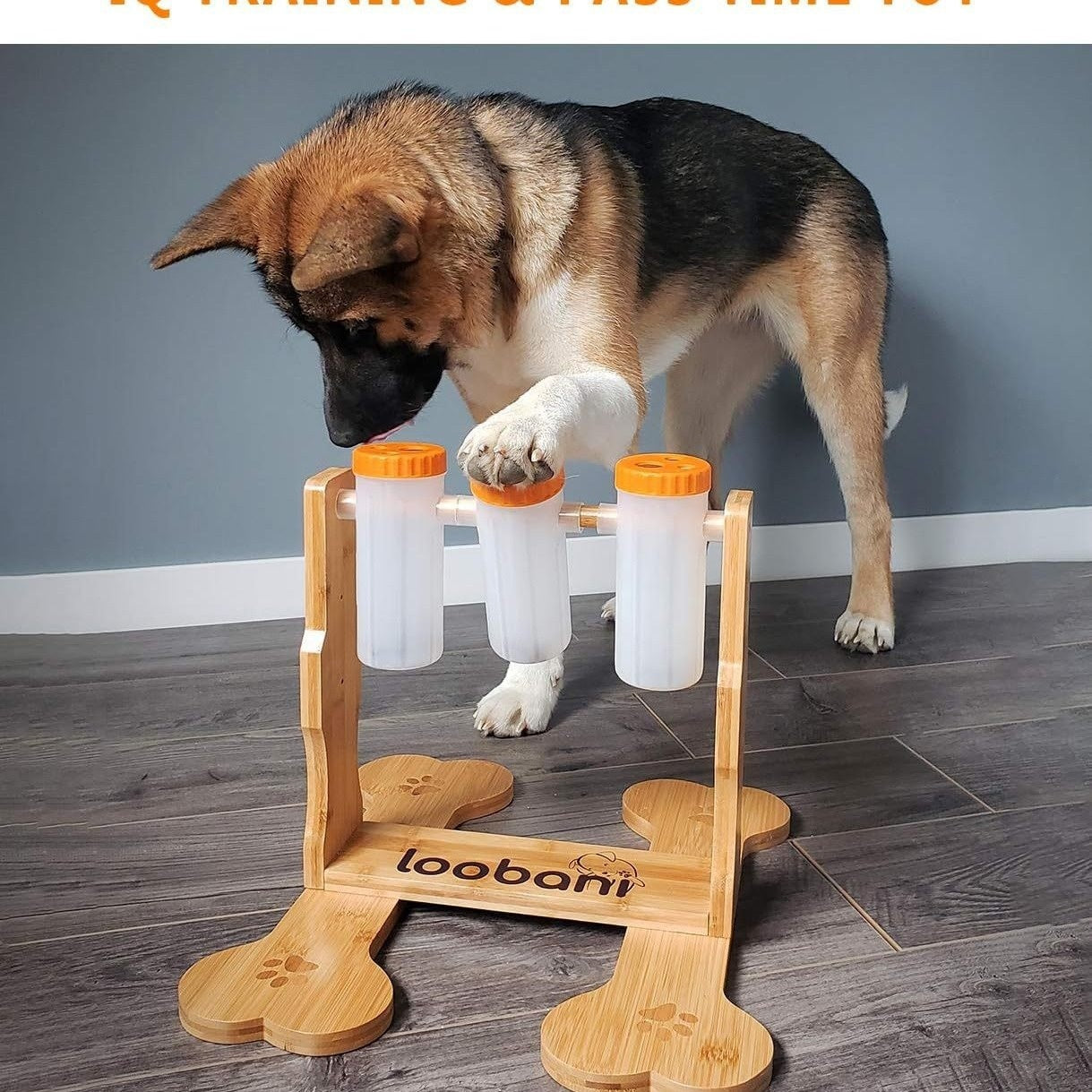 Wooden Dog Puzzle - Treat Dispenser