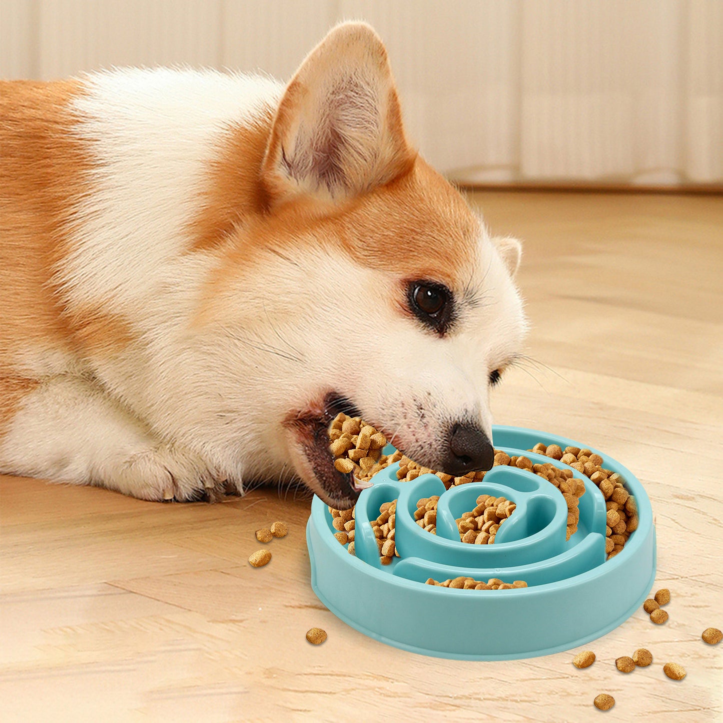 Slow Feeder Dog and Cat Bowl for Healthier Eating