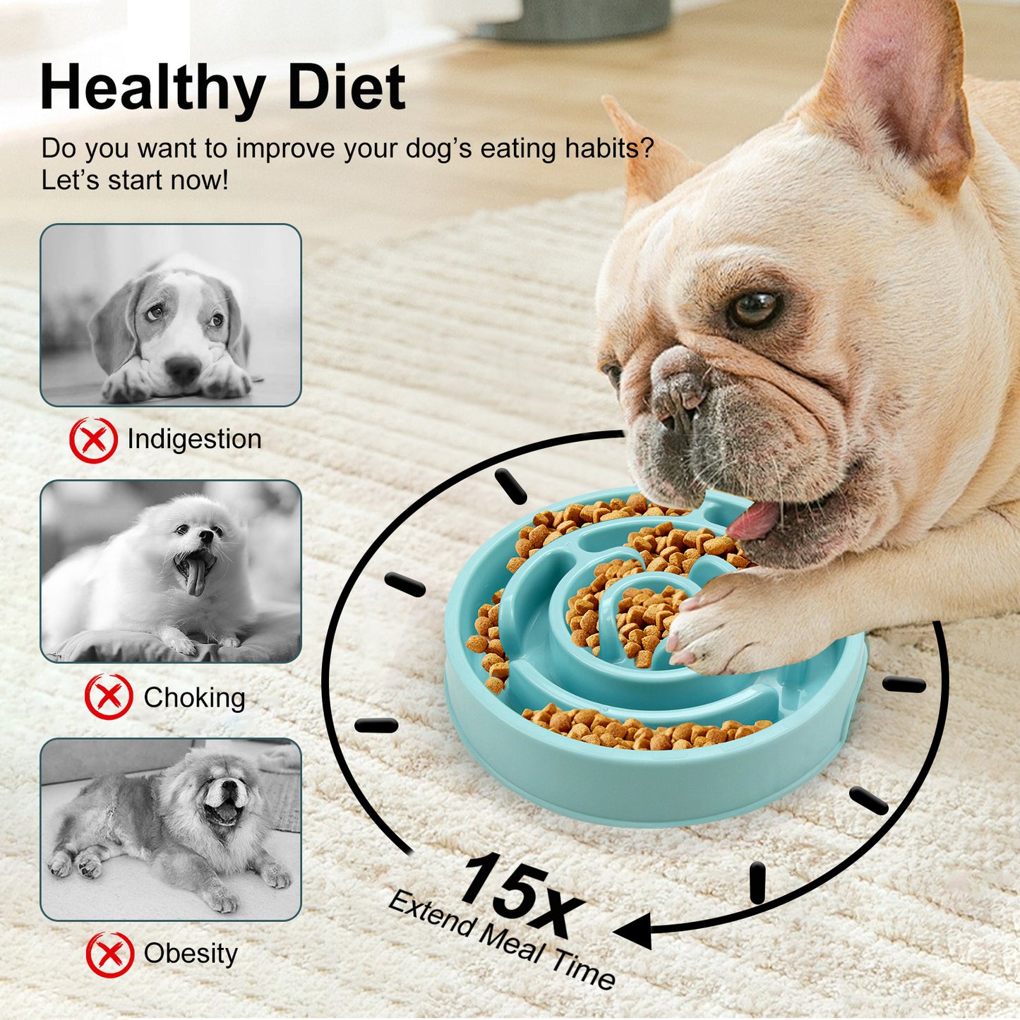 Slow Feeder Dog and Cat Bowl for Healthier Eating