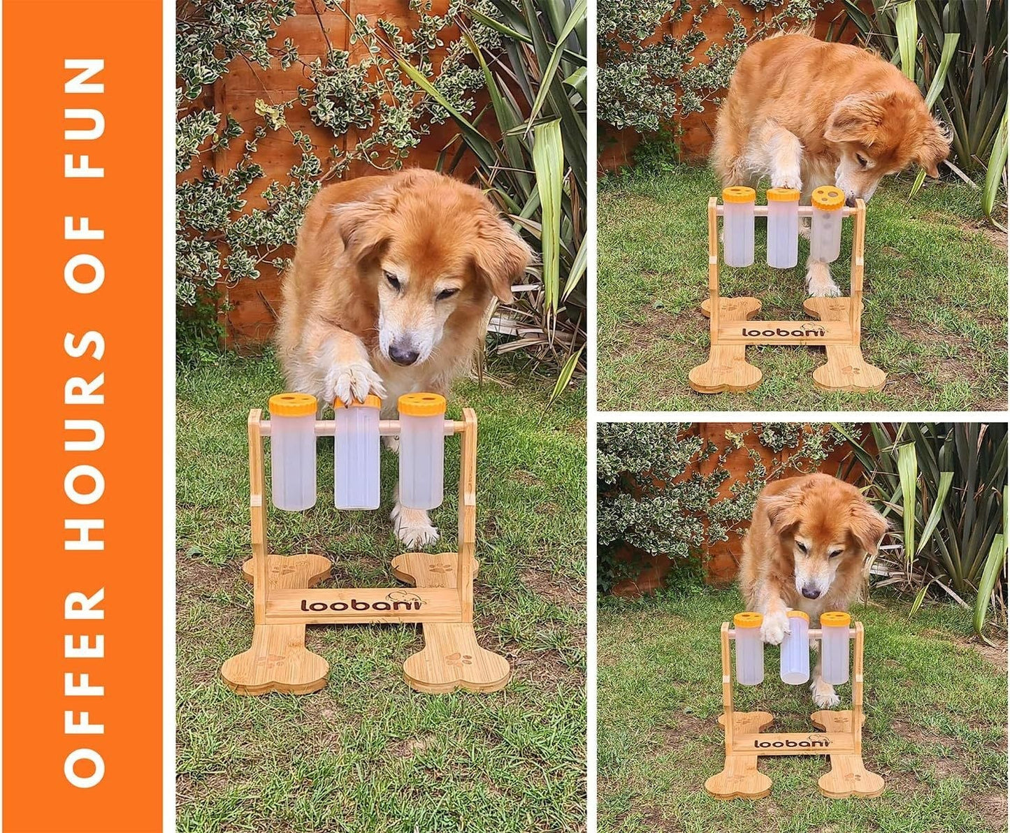 Wooden Dog Puzzle - Treat Dispenser