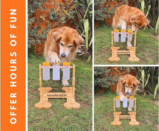 Wooden Dog Puzzle - Treat Dispenser