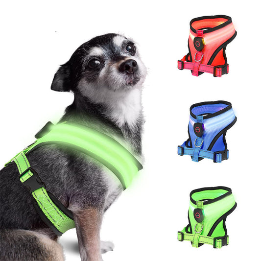 LED Dog Harness for Safe Night Walks