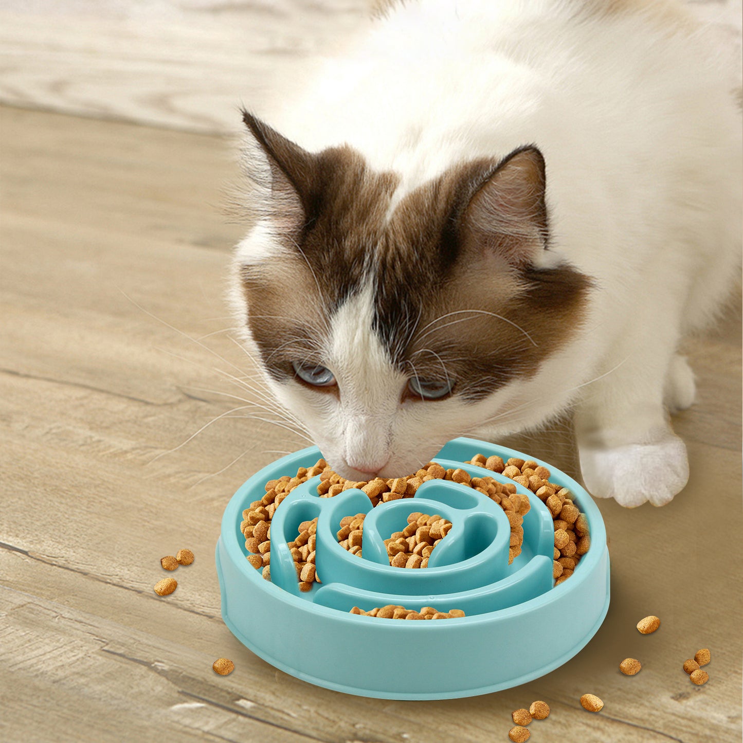 Slow Feeder Dog and Cat Bowl for Healthier Eating