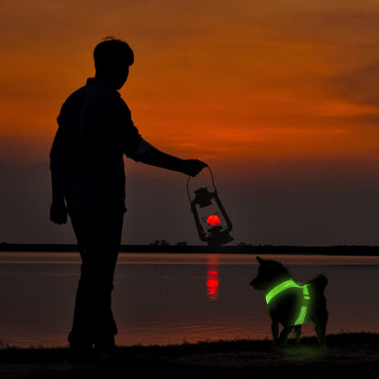 LED Dog Harness for Safe Night Walks